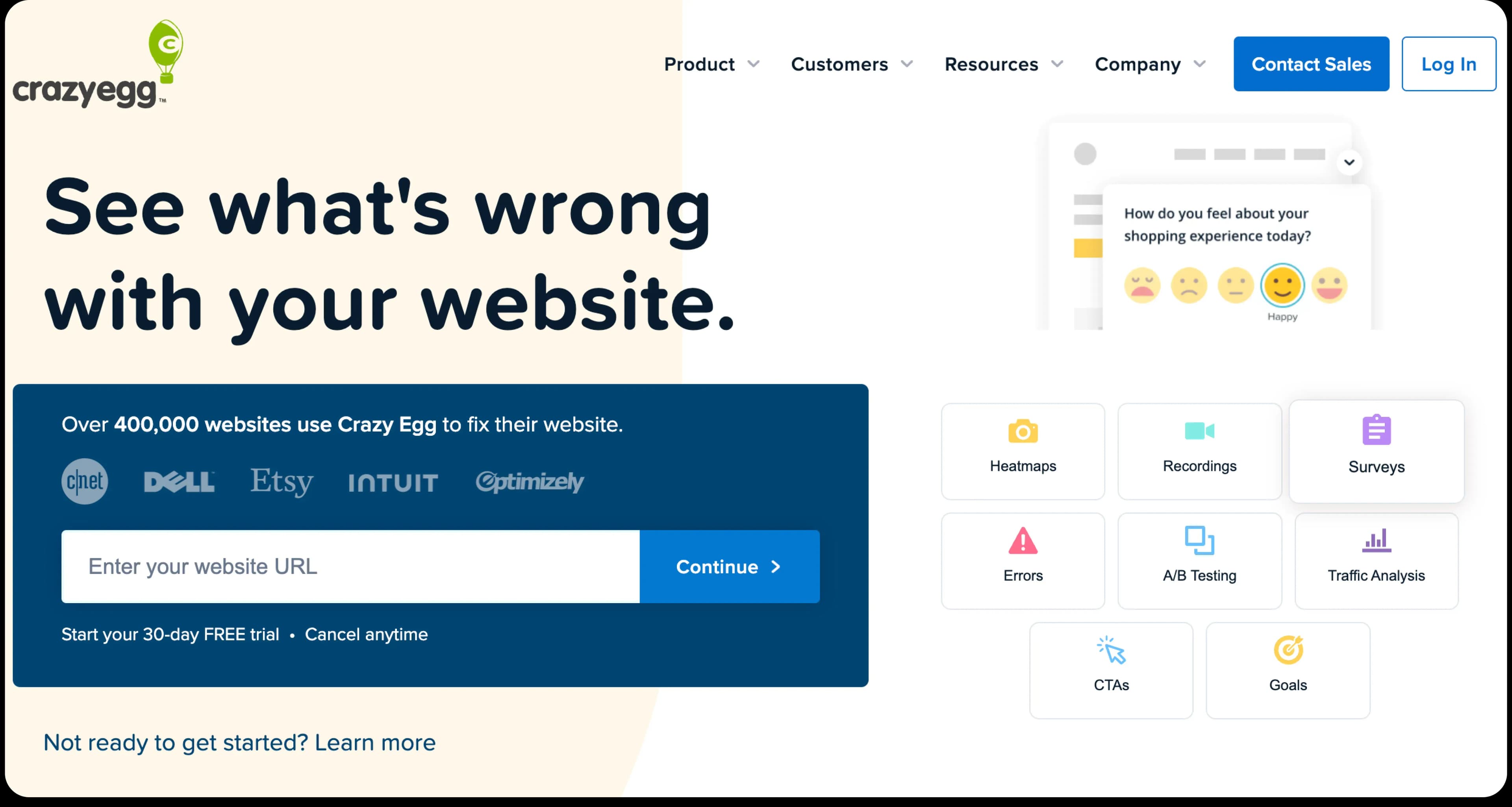 The CrazyEgg homepage