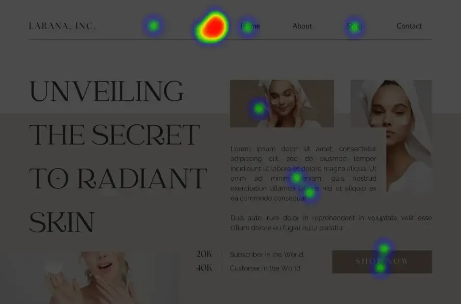 website-heatmaps-3.webp