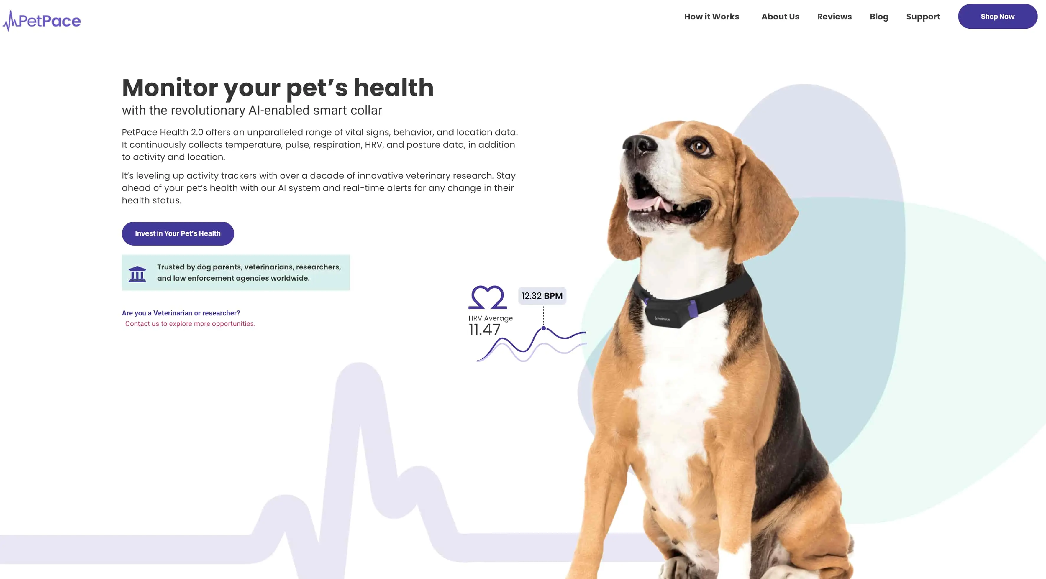 petpace-screenshot-homepage.jpg