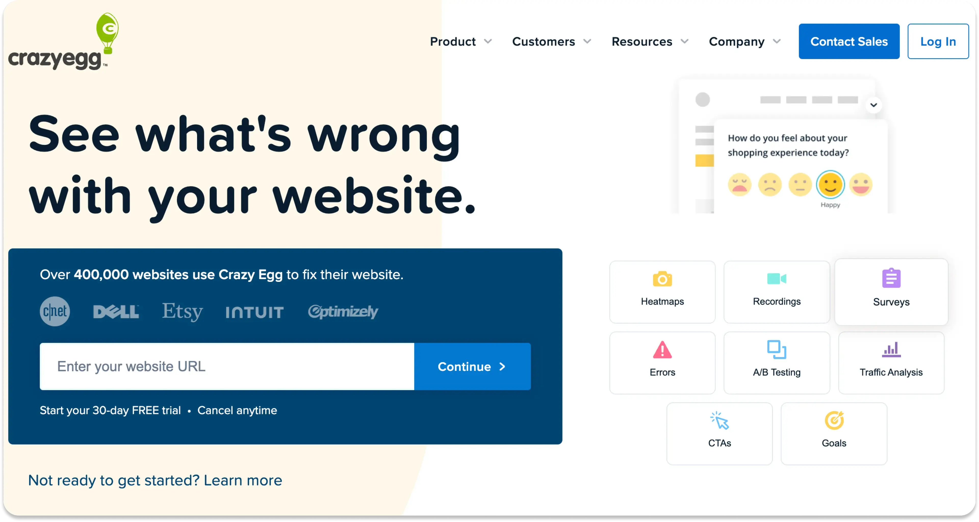 The CrazyEgg homepage